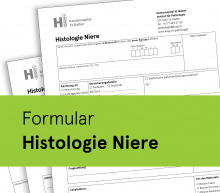 Auftragsformular Histologie Niere