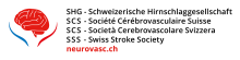 Swiss Stroke Society 